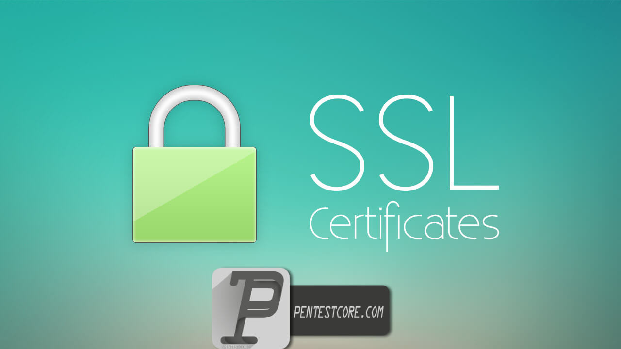 SSL چیست