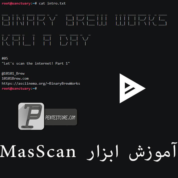 اسکن ip