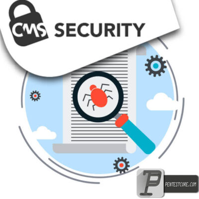 امنیت CMS های اختصاصی