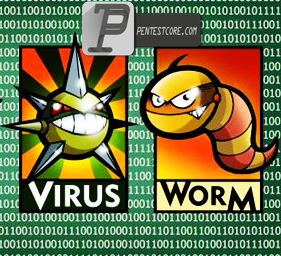 کرم کامپیوتر (Computer Worm) چیست؟ + (مقابله با ان ها)